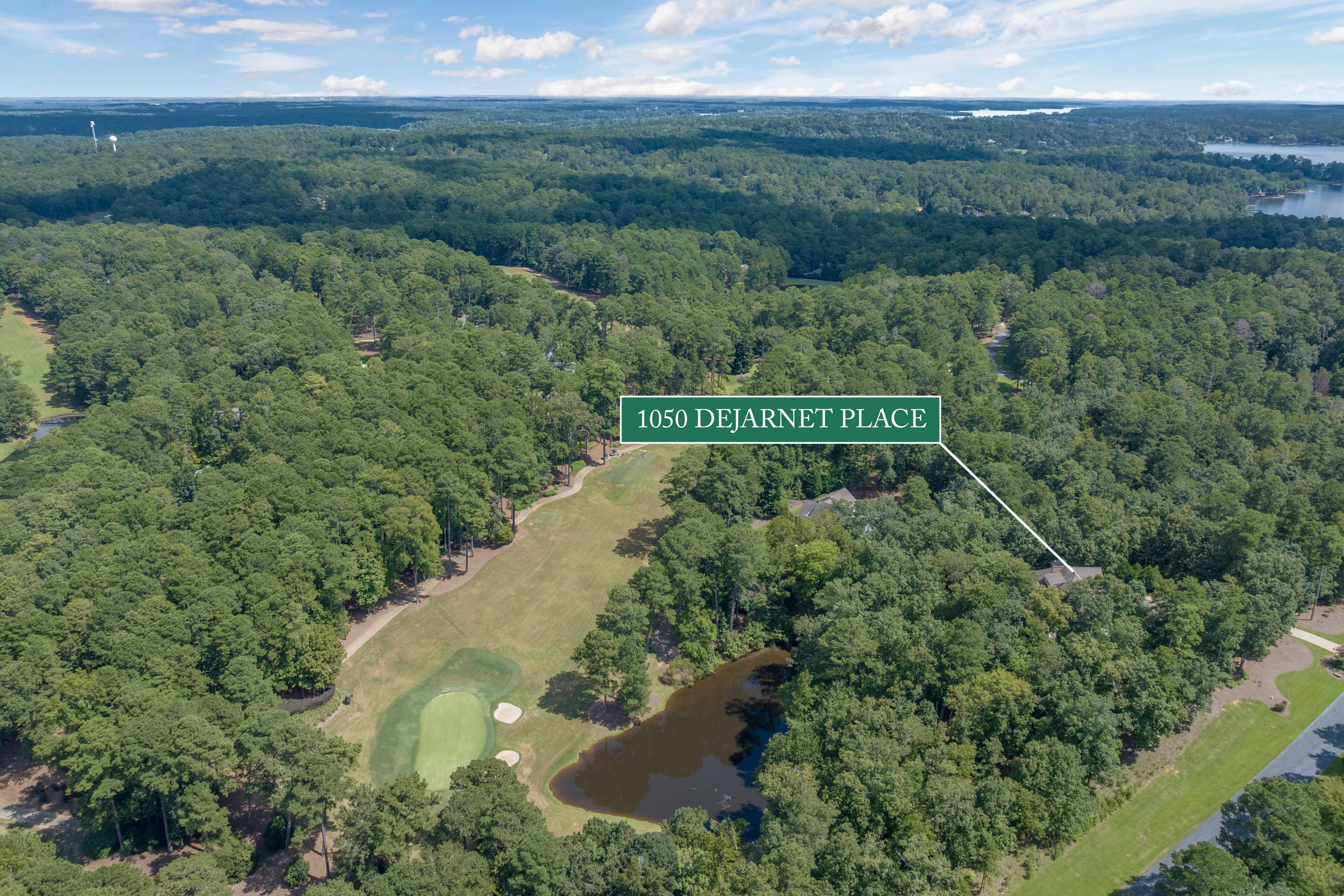 1050 Dejarnet Place image 60